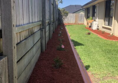 Planting and Mulching