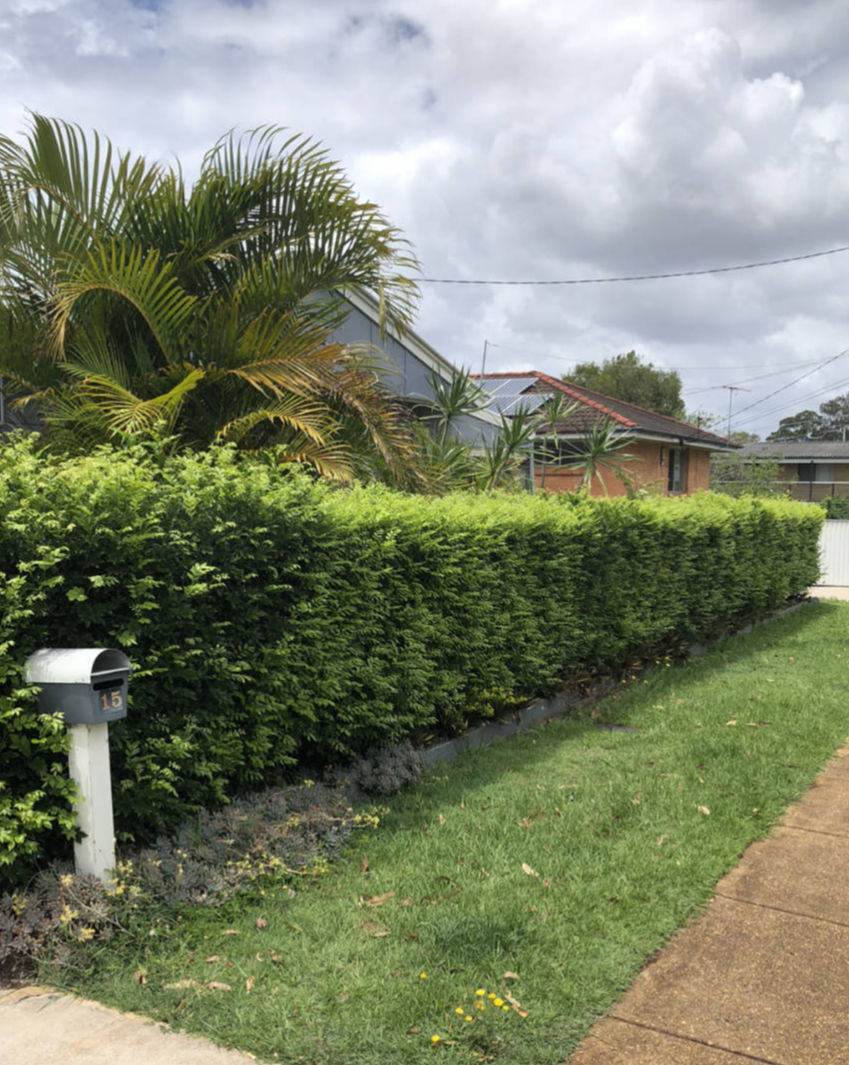 Hedging Brisbane Northside