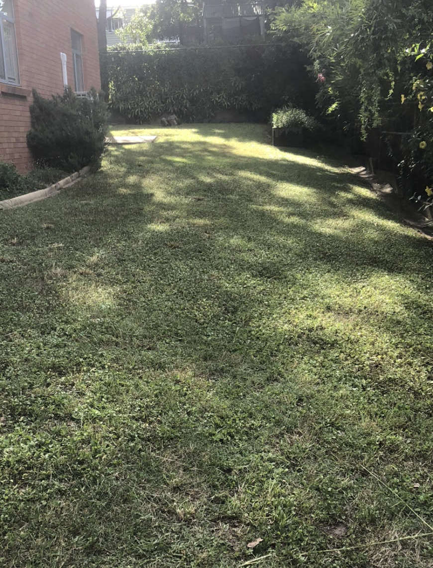 Lawn Mowing Brisbane Northside