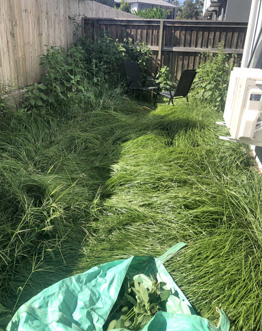 Overgrown Mowing