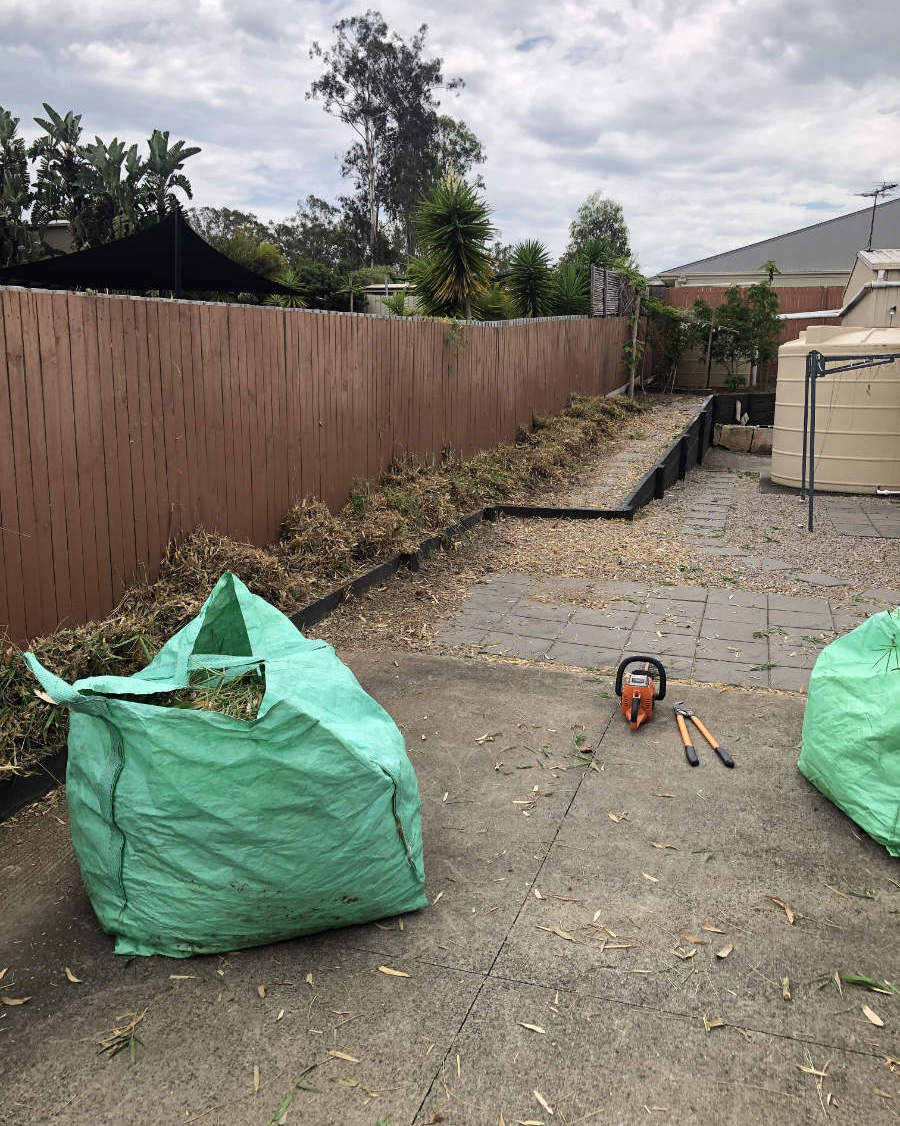 Bamboo Removal Service Brisbane