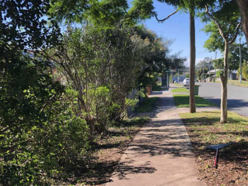 Garden Trimming North Brisbane